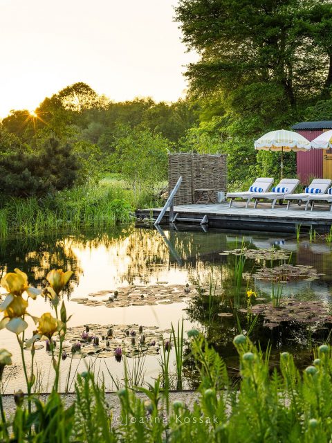 Summer’s here again!
If you’re lucky enough to have a pond or a pool, you’re definitely living the dream!
Sharing a few shots of my favorite pool design. It really stands out.
Beautifully designed by @matthewchildsdesign
#summervibes #naturalpond #gardenideas #pondideas #wildswimming #wildpool #OutdoorOasis #surreygardens #gardenphotographer #surreyphotographer #summergardens