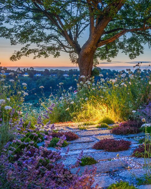 September brings shorter days but that doesn’t mean the garden season has to end.
Good lighting not only stretches the hours in the garden, it also creates atmosphere, highlights textures, and reveals colours and details that often look richer and more vivid than in daylight.
It was a real pleasure to capture this award-winning garden designed by @matthewwilsongardens enhanced with gentle, wildlife-friendly lighting by @moonlightdesignltd so the space can be enjoyed long after sunset.
I am absolutely thrilled to see my photographs published in the August/September 2025 issue of Garden Design Journal, with one image chosen for the front cover.
In this issue you’ll find an interview with the designer Matthew Wilson MSGLD, along with a separate piece on lighting design featuring David Hastlehurst, Director of @moonlightdesignltd theartoflight.co.
A huge thanks to the @the_sgld editorial team for the feature, and to @plantsmanpip for bringing the story to life.
To read more, use the following link: sgld.org.uk/garden-design-journal/garden-design-journal/
#gardenlighting #gardendesignideas #surreygardens #gardensatnight #gardenlightingdesign #gardenphotographer #gardenphotograpy #sgld #droughttolerantlandscape #gardenpaths #outdoorlighting #outdoorlights #gardendesignjournal