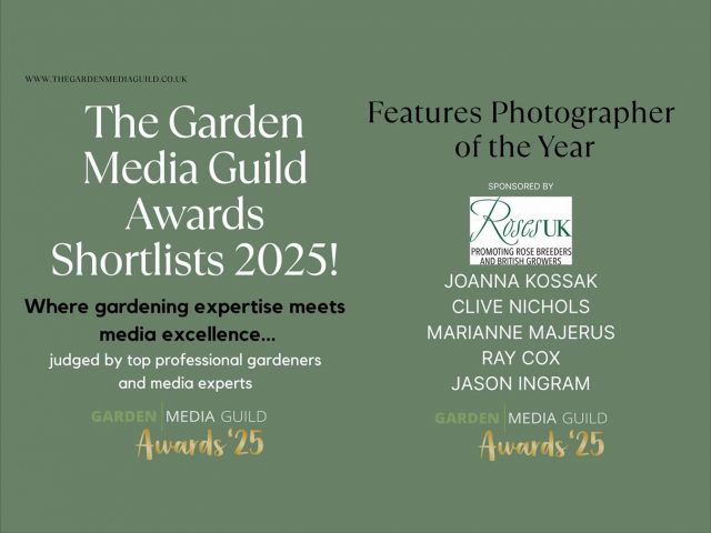Thrilled and honoured to have been shortlisted by the Garden Media Guild @gdnmediaguild in the Features Photographer of the Year category! Huge thanks to the Garden Media Guild for this recognition, to my wonderful clients for their trust and inspiring projects, and to the publishers who’ve supported and shared my work throughout the year.
I’m sharing a few images from my entry that showcase diverse styles of gardens and shoots.
1. Graylings Garden, garden designed by @matthewwilsongardens with lighting design by @moonlightdesignltd published in SGDL Garden Design Journal
2. Highbury garden by @gardenslondon published in House Beautiful @housebeautifuluk
3. Somerleyton Hall & Garden published in The English Garden magazine @theenglishgardenmagazine
Good luck to everyone who has been shortlisted, and see you at the GMG Lunch next month!
Thank you all for your ongoing support 💚
#gardenmediaguildawards2025 #gardenphotographer #surreyphotographer #ukgardens #gardensinspiration #gardenmediaguildawards #gardenmediaguild #joannakossak