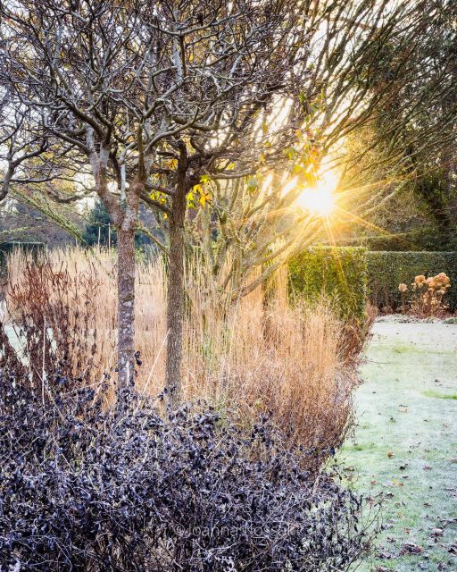 In winter, the garden reveals a different side: gentle tones of plants covered by frost, textures, and forms that usually go unnoticed.
I’m delighted to see this garden published in @the_rhs The Garden magazine. Thank you to the RHS editorial team and @lemonsandcatfood for the opportunity to feature this garden, to @mcwilliamstudio for trusting me and being so flexible in arranging this shoot, and to @gardenwithmartyn for bringing the garden to life through words.
Discover the full story in The Garden Magazine January issue 2026.
What a perfect way to start the new year!
Designer @mcwilliamstudio
#englishgardens #wintergarden #gardendesignideas #frostymorning #joannakossak