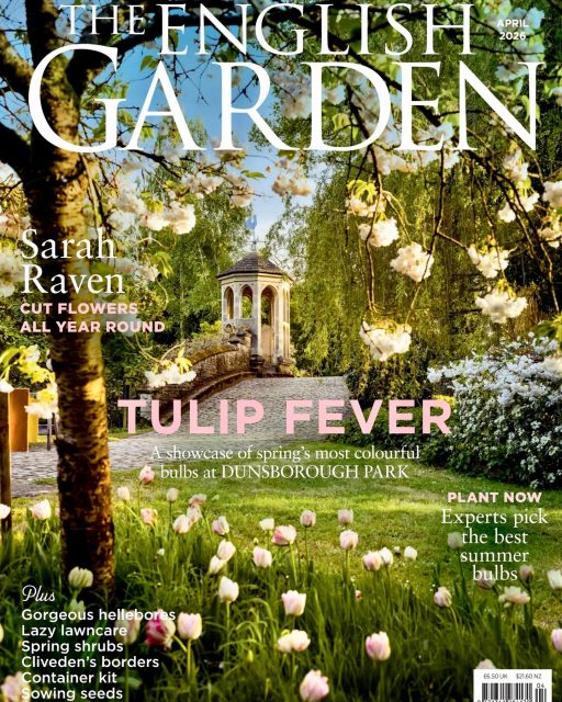Tulips in Dunsborough Park, Surrey

In soft pastels and bright jewel colours, a profusion of tulips announces bright mornings and longer days to look forward to. Architectural details are a marvellous backdrop to this historic garden, and the Edwardian glasshouses, though time has left its mark, remain elegant and offer a beautiful framework for climbing plants and abundantly flowering early shrubs.

Grateful to @dunsboroughpark for the chance to photograph this stunning garden. Thank you to garden writer @gardenvisitoruk for the beautiful words, and editor Clare Foggett for the feature and front cover.

Get your copy to discover the full story!

@gardenvisitoruk
@theenglishgardenmagazine 
@dunsboroughpark

#Tulips #EnglishGarden #SpringGarden #TulipGarden #theenglishgardenmagazine