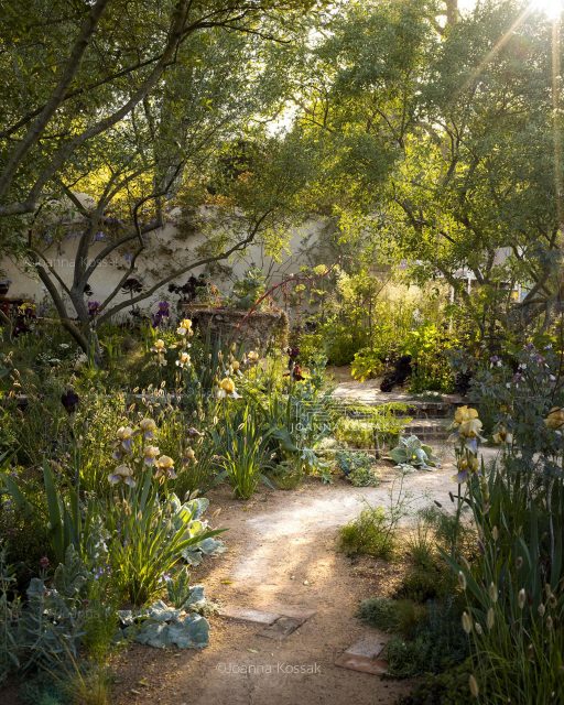 Every year Chelsea Flower Show reminds me how much gardens depend not only on design but also on trust between designers, plant growers, landscapers and all the people who bring them to life.

I’m always amazed by how show gardens can be created in just a two weeks and yet feel as if they have always been there.
The Nurture Landscapes Garden, designed by @sarahpricelandscapes and built by @crocus.co.uk for RHS Chelsea Flower Show 2023, is one I keep returning to and it still feels extraordinary.

Wishing all the designers, landscapers, nurseries and everyone involved the very best of luck for the show. I’m really looking forward to seeing the gardens in just a few days. Hope to see you there!

#chelseaflowershow #gardenphotographer #rhschelseaflowershow #irisgarden #irises