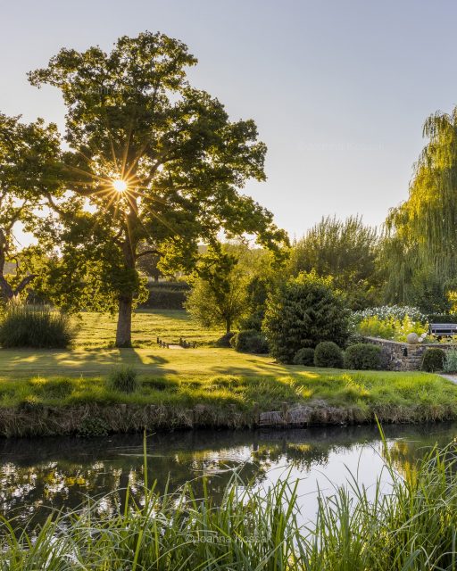 Exactly one year ago today, I photographed this beautiful garden at Mill House in Surrey, on a wonderful summer evening.

Here, water has shaped the landscape for centuries. The old mill race flows through the beautiful garden designed by @taylortrippgardendesign creating wonderful reflections and a calm atmosphere.

The garden was featured in the August issue of The English Garden, including on the front cover, with a wonderful story by Clare Foggett. The full feature is still available online if you missed it.

Garden design: @taylortrippgardendesign 

#surreygardens #englishgarden #countrysidegarden #augustgarden #gardendesignideas
