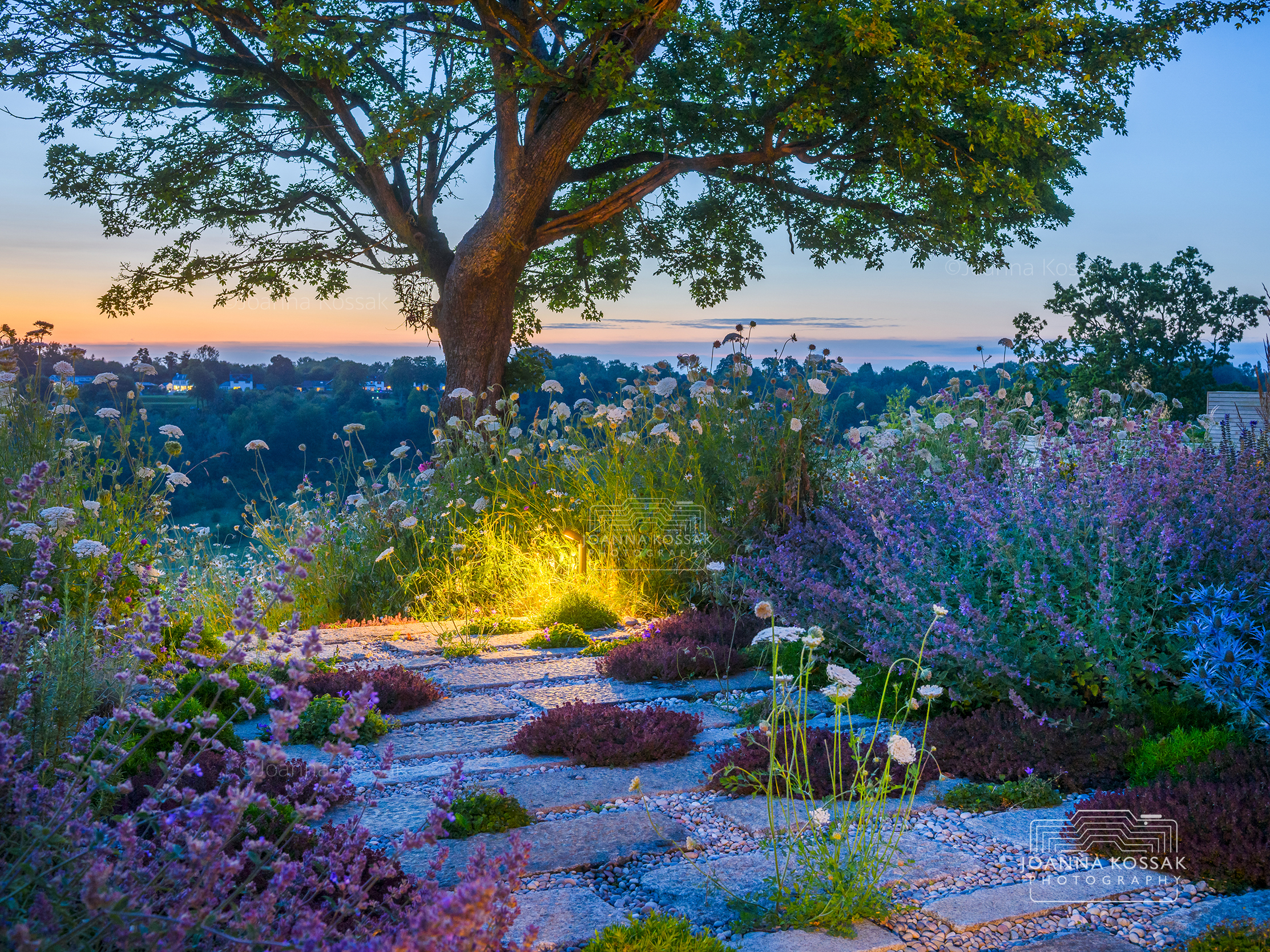 _KOS2587wl2-srgb - Joanna Kossak Photography