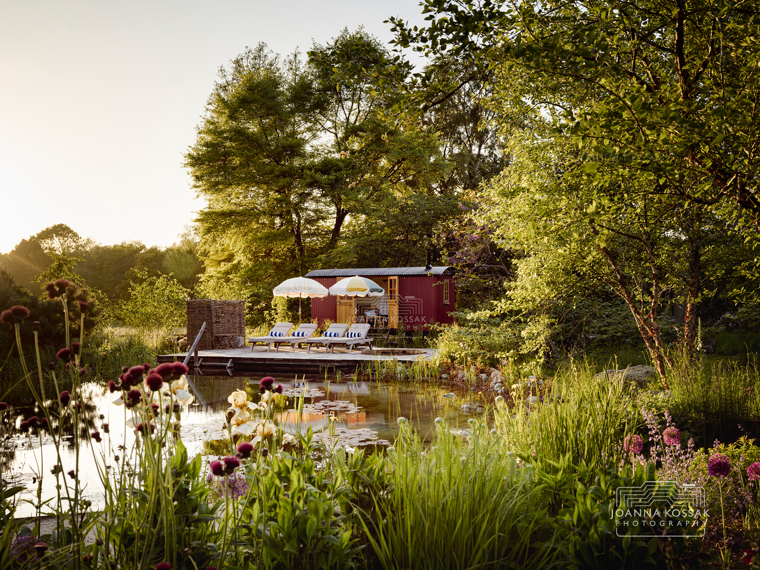 swimming-pool-surrey-photographer-garden-joanna-kossak - Joanna Kossak Photography