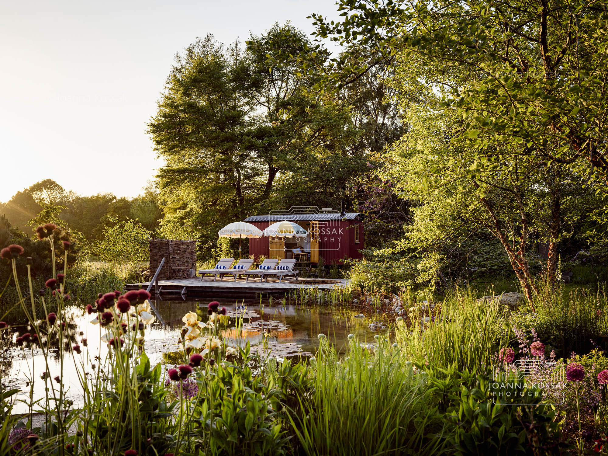 Natural pool with a shepherd’s hut in a countryside garden in Surrey photographed by a professional garden photographer in June