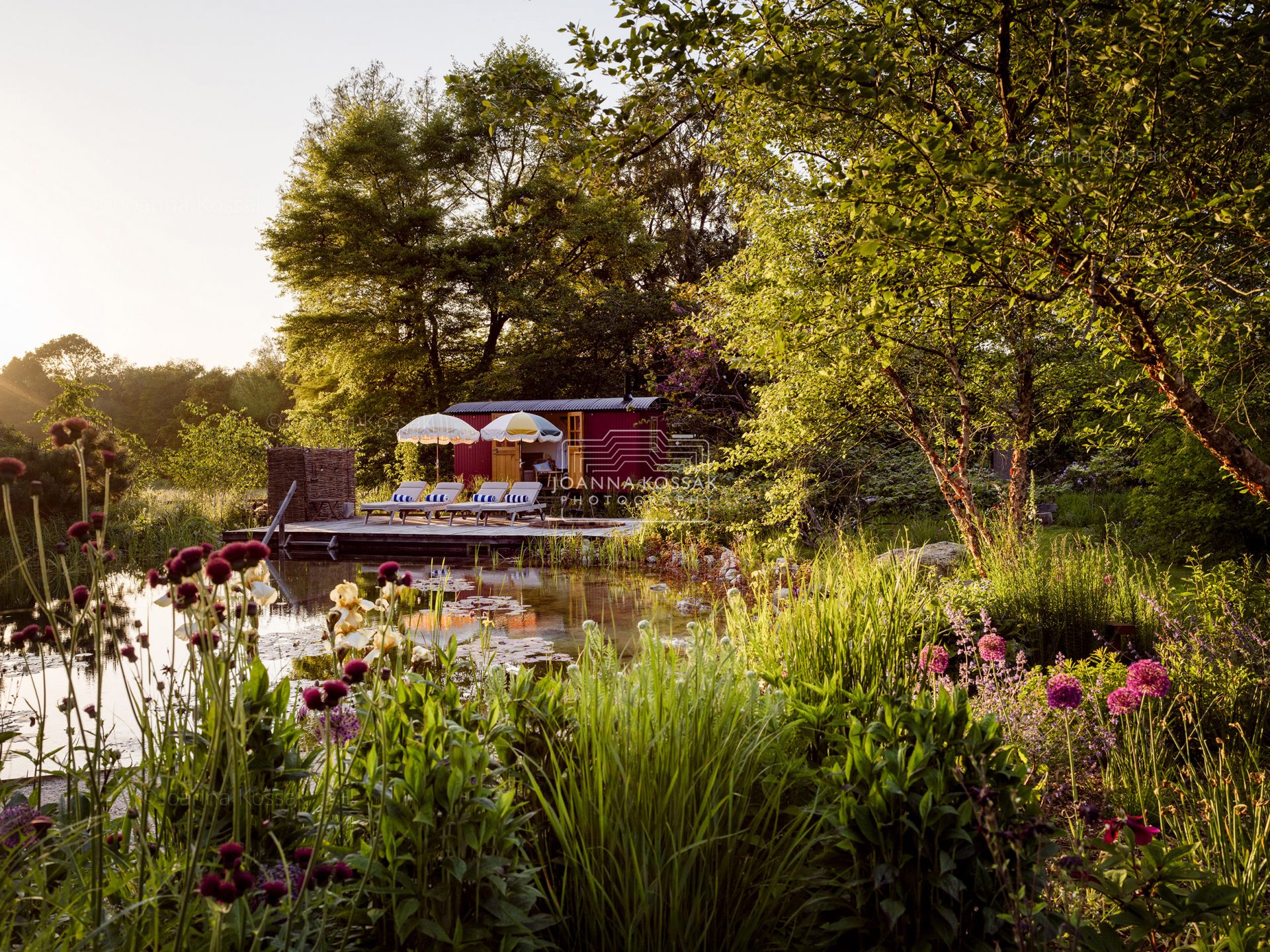 natural-swimming-pool-garden-surrey-shepherds-hut-hero - Joanna Kossak Photography