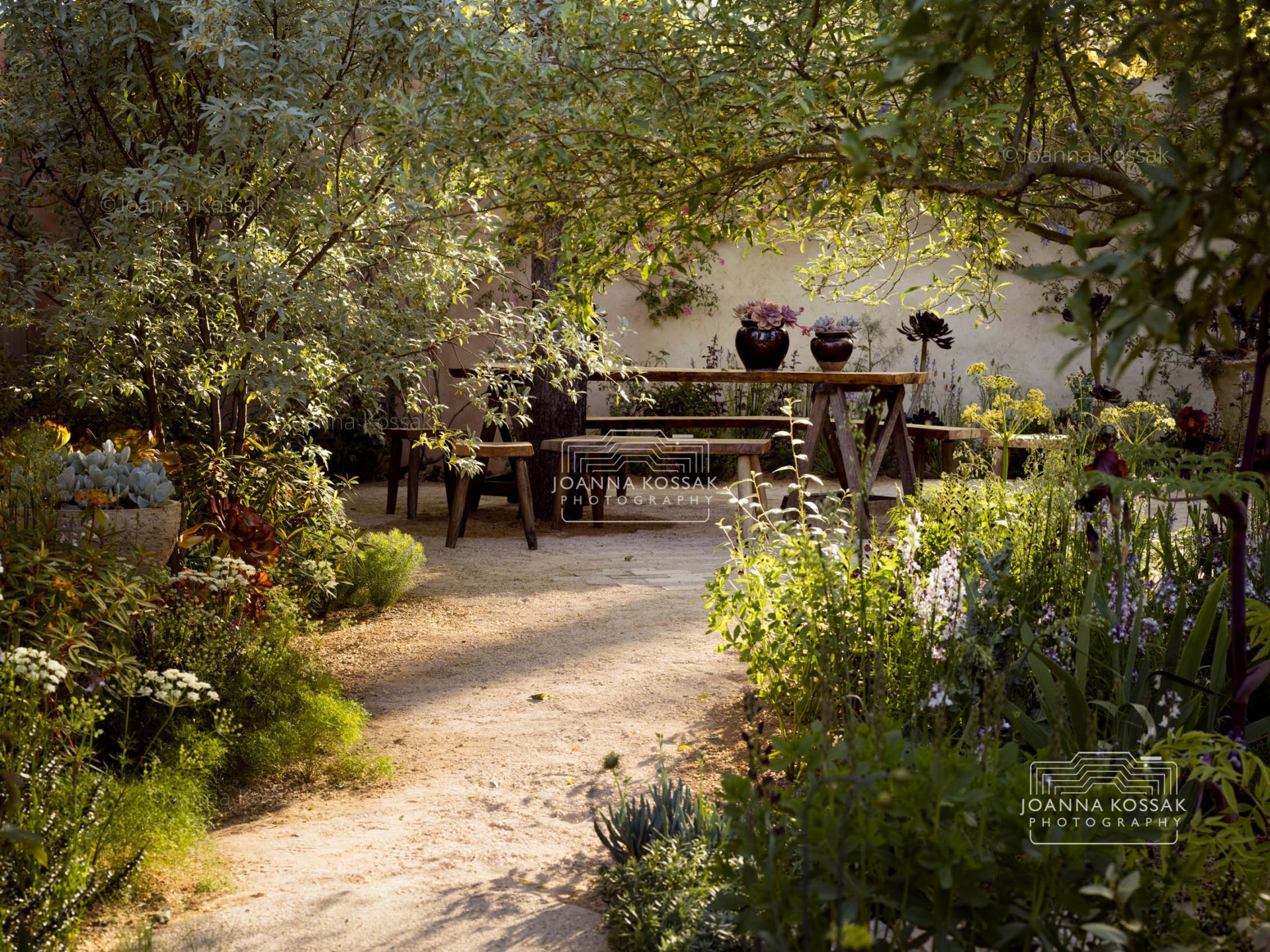 Natural path surrounded by branches of small trees leading to a rustic wooden table and bench in the Nurture Landscapes Garden at the RHS Chelsea Flower Show 2024, designed by Sarah Price